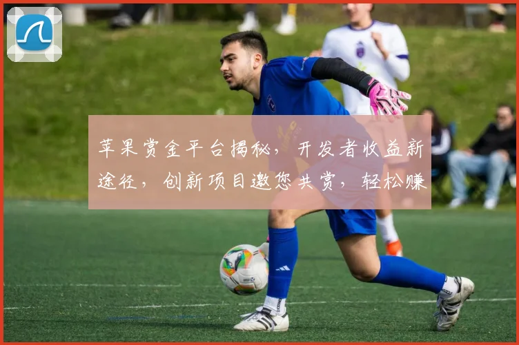 苹果赏金平台揭秘，开发者收益新途径，创新项目邀您共赏，轻松赚翻天