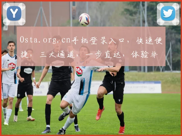Osta.org.cn手机登录入口，快速便捷，三大通道，一步直达，体验非凡