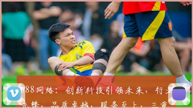 688网络：创新科技引领未来，行业先锋，品质卓越，服务至上，三重优势，值得信赖